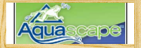 Aquascape